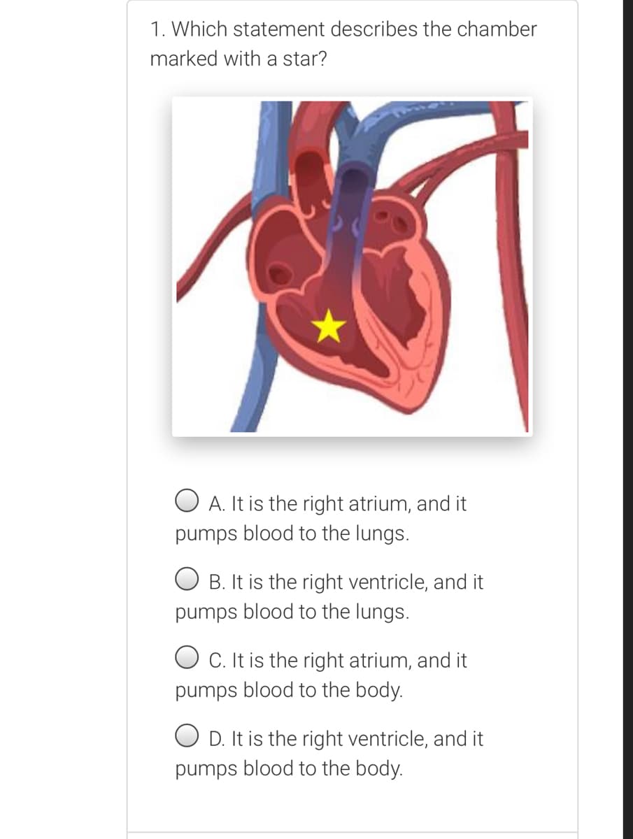 1. Which statement describes the chamber
marked with a star?
A. It is the right atrium, and it
pumps blood to the lungs.
B. It is the right ventricle, and it
pumps blood to the lungs.
O C. It is the right atrium, and it
pumps blood to the body.
O D. It is the right ventricle, and it
pumps blood to the body.
