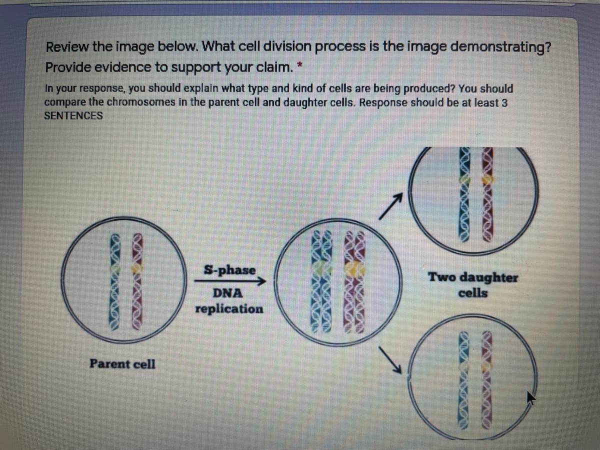 Review the image below. What cell division process is the image demonstrating?
Provide evidence to support your claim. *
In your response, you should explain what type and kind of cells are being produced? You should
compare the chromosomes in the parent cell and daughter cells. Response should be at least 3
SENTENCES
S-phase
Two daughter
cells
DNA
replication
Parent cell
