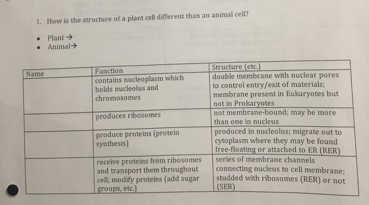 1. How is the structure of a plant cell different than an animal cell?
Plant >
Animal>
Structure (etc.)
double membrane with nuclear pores
to control entry/exit of materials;
membrane present in Eukaryotes but
not in Prokaryotes
not membrane-bound; may be more
Function
Name
contains nucleoplasm which
holds nucleolus and
chromosomes
produces ribosomes
than one in nucleus
produced in nucleolus; migrate out to
cytoplasm where they may be found
free-floating or attached to ER (RER)
series of membrane channels
connecting nucleus to cell membrane;
studded with ribosomes (RER) or not
(SER)
produce proteins (protein
synthesis)
receive proteins from ribosomes
and transport them throughout
cell; modify proteins (add sugar
groups, etc.)

