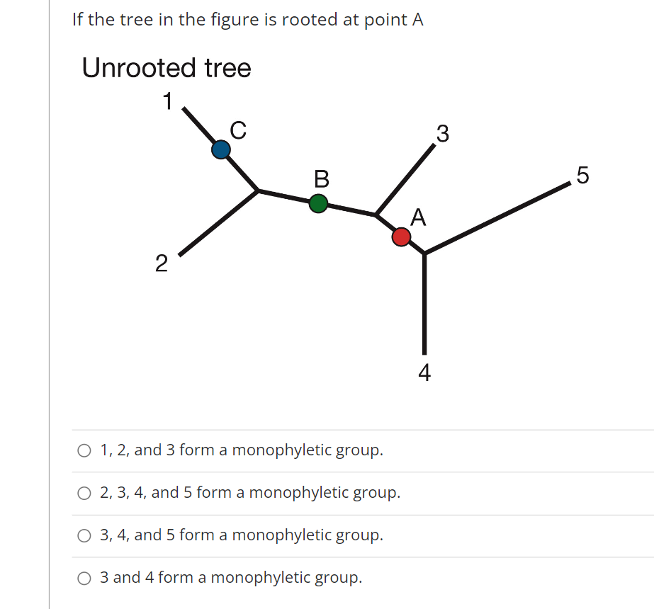 If the tree in the figure is rooted at point A
Unrooted tree
1
2
B
O 1, 2, and 3 form a monophyletic group.
O 2, 3, 4, and 5 form a monophyletic group.
O 3, 4, and 5 form a monophyletic group.
3 and 4 form a monophyletic group.
A
4
3
5