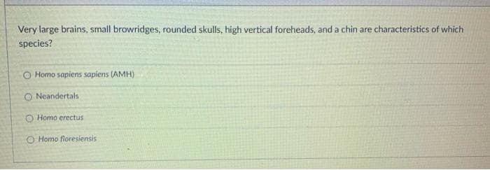 Very large brains, small browridges, rounded skulls, high vertical foreheads, and a chin are characteristics of which
species?
O Homo sapiens sapiens (AMH)
O Neandertals
O Homo erectus
O Homo floresiensis
