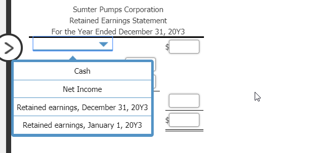 Sumter Pumps Corporation
Retained Earnings Statement
For the Year Ended December 31, 20Y3
Cash
Net Income
Retained earnings, December 31, 20Y3
Retained earnings, January 1, 20Y3
