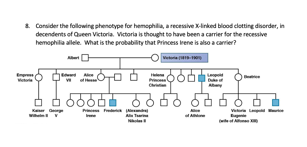 8. Consider the following phenotype for hemophilia, a recessive X-linked blood clotting disorder, in
decendents of Queen Victoria. Victoria is thought to have been a carrier for the recessive
hemophilia allele. What is the probability that Princess Irene is also a carrier?
Albert
Victoria (1819–1901)
Edward
Empress
Victoria
Leopold
Princess O O L Duke of
Alice
Helena
Beatrice
II
of Hesse
Christian
Albany
Kaiser George
Princess Frederick (Alexandra)
Victoria Leopold Maurice
Eugenie
Alice
Wilhelm II
V
Irene
Alix Tsarina
of Athlone
Nikolas II
(wife of Alfonso XIII)
