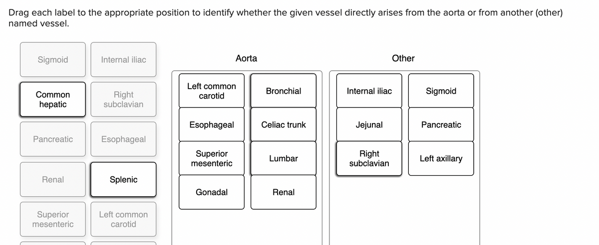 Drag each label to the appropriate position to identify whether the given vessel directly arises from the aorta or from another (other)
named vessel.
Sigmoid
Internal iliac
Aorta
Other
Left common
carotid
Common
Bronchial
Internal iliac
Sigmoid
Right
subclavian
hepatic
Esophageal
Celiac trunk
Jejunal
Pancreatic
Pancreatic
Esophageal
Superior
mesenteric
Right
subclavian
Lumbar
Left axillary
Renal
Splenic
Gonadal
Renal
Superior
mesenteric
Left common
carotid
