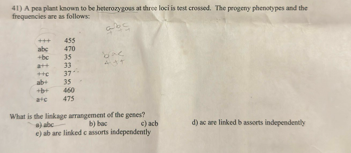 41) A pea plant known to be heterozygous at three loci is test crossed. The progeny phenotypes and the
frequencies are as follows:
abç
+++
abc
+bc
a++
++c
ab+
+b+
a+c
455
470
35
33
37 --
35
460
475
bac
+++
What is the linkage arrangement of the genes?
a) abc
b) bac
c) acb
e) ab are linked c assorts independently
d) ac are linked b assorts independently