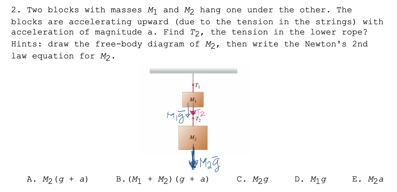 2. Two blocks with masses M1 and M2 hang one under the other. The
blocks are accelerating upward (due to the tension in the strings) with
acceleration of magnitude a. Find T2, the tension in the lower rope?
Hints: draw the free-body diagram of M2, then write the Newton's 2nd
law equation for M2.
T1
M1
M2
C. M29
D. M19
E. M2a
A. M2 (g + a)
B. (M1 + M2) (g + a)
