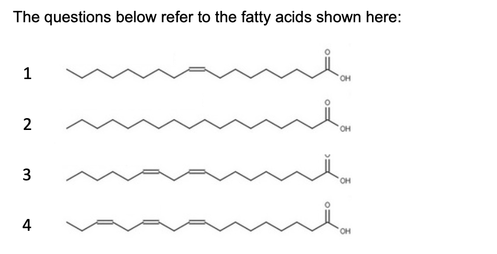 The questions below refer to the fatty acids shown here:
1
2
OH
3
OH
4
OH
