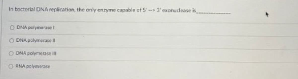 In bacterial DNA replication, the only enzyme capable of 5'3' exonuclease is
DNA polymerase I
O DNA polymerase II
DNA polymerase lII
O RNA polymerase
