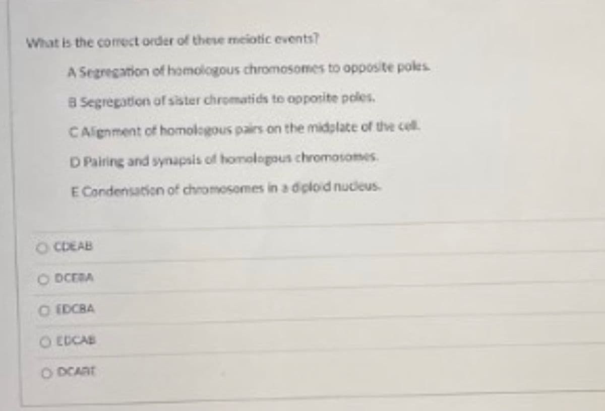 What is the corect order of these meiotic events?
A Segregation of homologous chromosomes to opposite poles
8 Segregation of sister chromatids to opponite poles.
CAignment of homologous pairs on the midplate of thve cell.
D Pairing and synapsis of homologous chromosomes.
E Condensation of chromosomes in a diploid nucleus.
CDEAB
O DCERA
O EDCBA
O EDCAB
O DCARE
