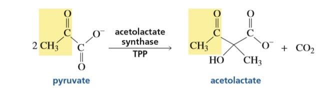 acetolactate
synthase
C
CH3
2 CH3
O + CO2
CH3
ТР
НО
pyruvate
acetolactate
