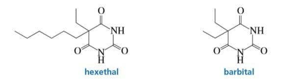 NH
NH
barbital
hexethal
