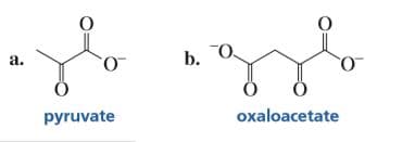 b. O.
_O.
a.
pyruvate
oxaloacetate
