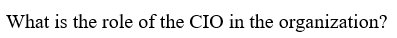 What is the role of the CIO in the organization?