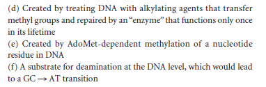 (d) Created by treating DNA with alkylating agents that transfer
methyl groups and repaired by an "enzyme" that functions only once
in its lifetime
(e) Created by AdoMet-dependent methylation of a nucleotide
residue in DNA
(f) A substrate for deamination at the DNA level, which would lead
to a GC→ AT transition
