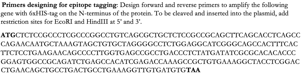 Primers designing for epitope tagging: Design forward and reverse primers to amplify the following
gene with 6×HIS-tag on the N-terminus of the protein. To be cleaved and inserted into the plasmid, add
restriction sites for EcoRI and HindIII at 5' and 3'.
ATGCTCTCCGCCCTCGCCCGGCCTGTCAGCGCTGCTCTCCGCCGCAGCTTCAGCACCTCAGCC
CAGAACAATGCTAAAGTAGCTGTGCTAGGGGCCTCTGGAGGCATCGGGCAGCCACTTTCAC
TTCTCCTGAAGAACAGCCCCTTGGTGAGCCGCCTGACCCTCTATGATATCGCGCACACACCC
GGAGTGGCCGCAGATCTGAGCCACATCGAGACCAAAGCCGCTGTGAAAGGCTACCTCGGAC
CTGAACAGCTGCCTGACTGCCTGAAAGGTTGTGATGTGTAA
