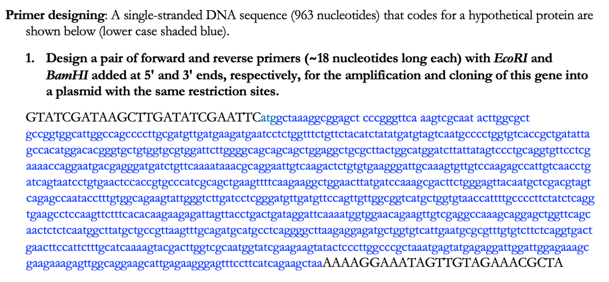 Primer designing: A single-stranded DNA sequence (963 nucleotides) that codes for a hypothetical protein are
shown below (lower case shaded blue).
1. Design a pair of forward and reverse primers (~18 nucleotides long each) with EcoRI and
BamHI added at 5' and 3' ends, respectively, for the amplification and cloning of this
a plasmid with the same restriction sites.
gene
into
GTATCGATAAGCTTGATATCGAATTCatggctaaaggcggagct cccgggttca aagtcgcaat acttggcgct
gccggtggcattggccagccccttgcgatgttgatgaagatgaatcctctggtttctgttctacatctatatgatgtagtcaatgcccctggtgtcaccgctgatatta
gccacatggacacgggtgctgtggtgcgtggattcttggggcagcagcagctggaggctgcgcttactggcatggatcttattatagtccctgcaggtgttcctcg
aaaaccaggaatgacgagggatgatctgttcaaaataaacgcaggaattgtcaagactctgtgtgaagggattgcaaagtgttgtccaagagccattgtcaacctg
atcagtaatcctgtgaactccaccgtgcccatcgcagctgaagttttcaagaaggctggaacttatgatccaaagcgacttctgggagttacaatgctcgacgtagt
cagagccaatacctttgtggcagaagtattgggtcttgatcctcgggatgttgatgttccagttgttggcggtcatgetggtgtaaccatttgccccttctatctcagg
tgaagcctccaagttctttcacacaagaagagattagttacctgactgataggattcaaaatggtggaacagaagttgtcgaggccaaagcaggagctggttcagc
aactctctcaatggcttatgctgccgttaagtttgcagatgcatgcctcaggggcttaagaggagatgctggtgtcattgaatgcgcgtttgtgtcttctcaggtgact
gaacttccattctttgcatcaaaagtacgacttggtcgcaatggtatcgaagaagtatactcccttggcccgctaaatgagtatgagaggattggattggagaaagc
gaagaaagagttggcaggaagcattgagaagggagtttccttcatcagaagctaaAAAAGGAAATAGTTGTAGAAACGCTA
