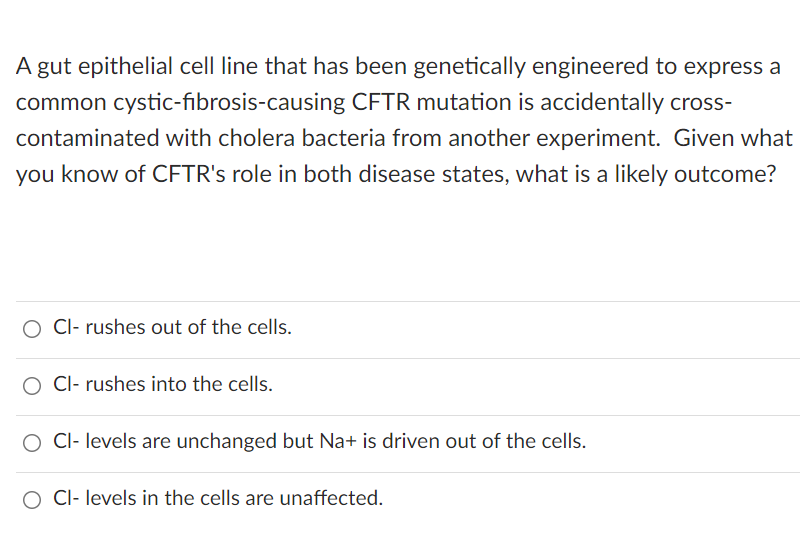 A gut epithelial cell line that has been genetically engineered to express a
common cystic-fibrosis-causing CFTR mutation is accidentally cross-
contaminated with cholera bacteria from another experiment. Given what
you know of CFTR's role in both disease states, what is a likely outcome?
Cl- rushes out of the cells.
O CI- rushes into the cells.
O CI- levels are unchanged but Na+ is driven out of the cells.
CI- levels in the cells are unaffected.
