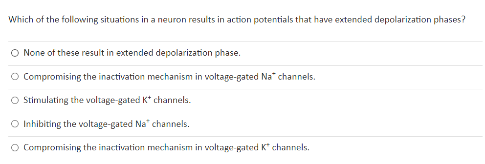 Which of the following situations in a neuron results in action potentials that have extended depolarization phases?
O None of these result in extended depolarization phase.
O Compromising the inactivation mechanism in voltage-gated Na* channels.
O Stimulating the voltage-gated K* channels.
O Inhibiting the voltage-gated Na* channels.
O Compromising the inactivation mechanism in voltage-gated K* channels.
