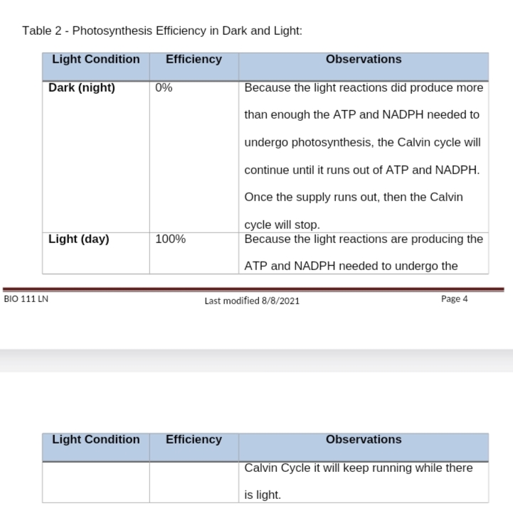Table 2 - Photosynthesis
Light Condition
Dark (night)
Light (day)
BIO 111 LN
Light Condition
Efficiency in Dark and Light:
Efficiency
0%
100%
Last modified 8/8/2021
Efficiency
Observations
Because the light reactions did produce more
than enough the ATP and NADPH needed to
undergo photosynthesis, the Calvin cycle will
continue until it runs out of ATP and NADPH.
Once the supply runs out, then the Calvin
cycle will stop.
Because the light reactions are producing the
ATP and NADPH needed to undergo the
Observations
Page 4
Calvin Cycle it will keep running while there
is light.