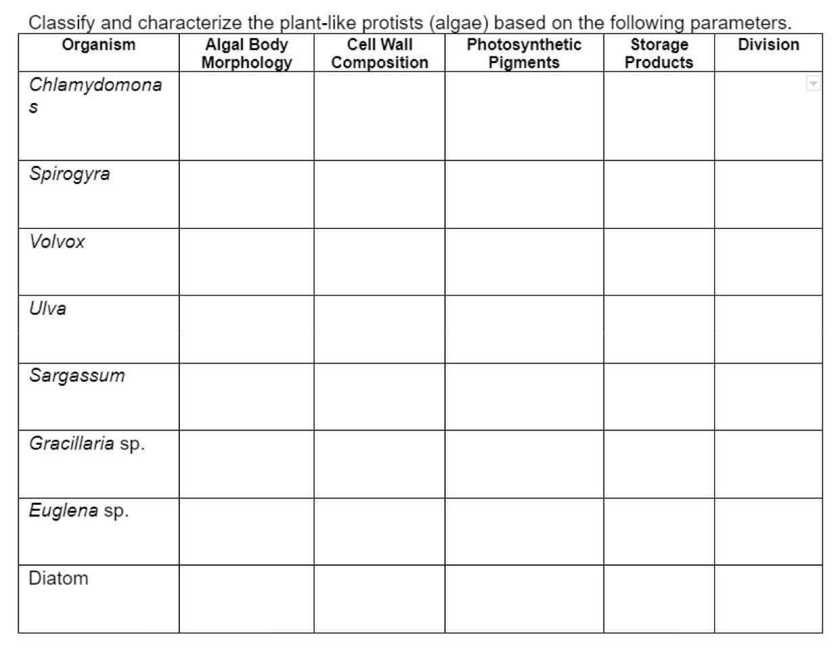 Classify and characterize the plant-like protists (algae) based on the following parameters.
Organism
Division
Algal Body
Morphology
Cell Wall
Composition
Chlamydomona
S
Spirogyra
Volvox
Ulva
Sargassum
Gracillaria sp.
Euglena sp.
Diatom
Photosynthetic
Pigments
Storage
Products