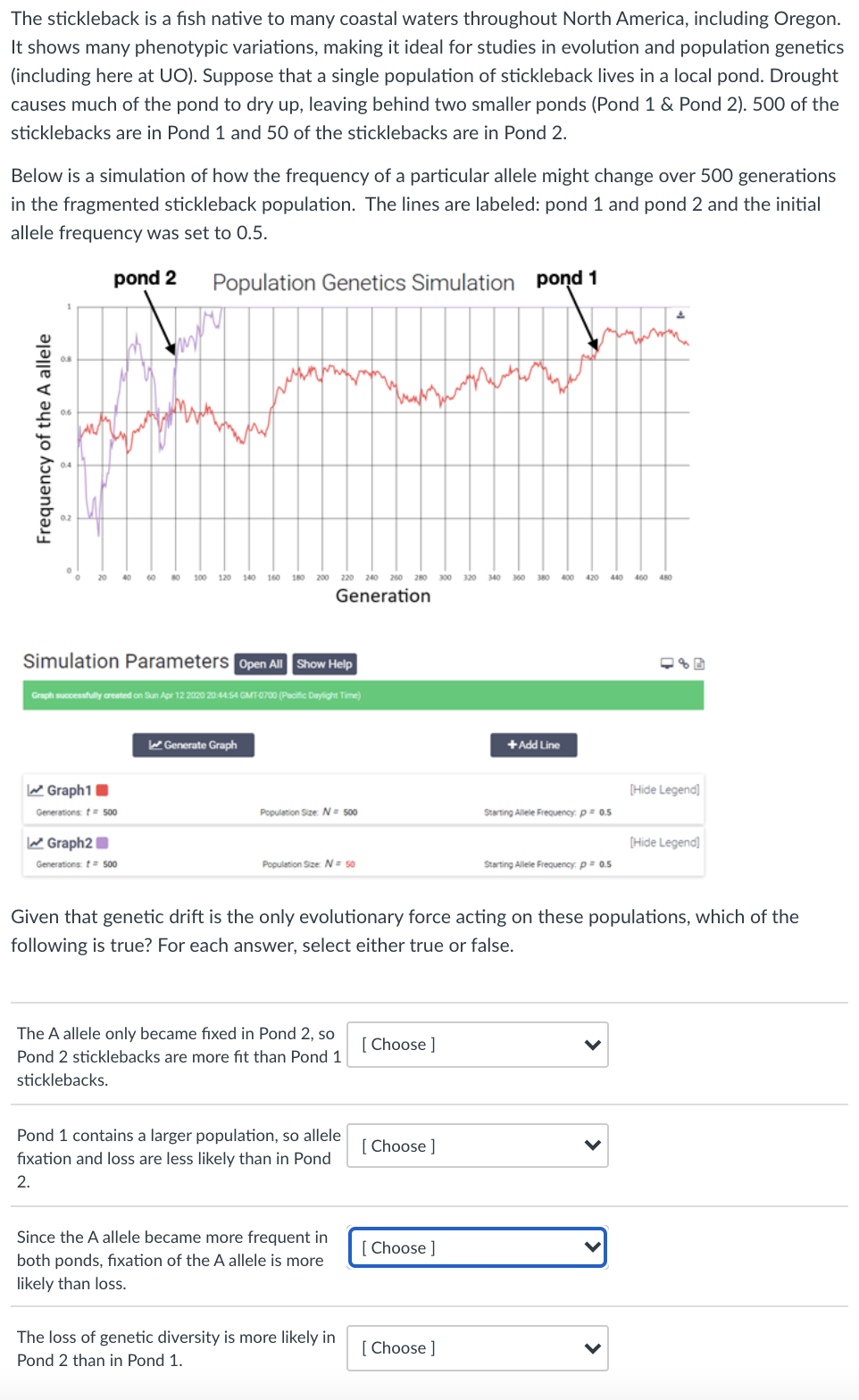 The stickleback is a fish native to many coastal waters throughout North America, including Oregon.
It shows many phenotypic variations, making it ideal for studies in evolution and population genetics
(including here at UO). Suppose that a single population of stickleback lives in a local pond. Drought
causes much of the pond to dry up, leaving behind two smaller ponds (Pond 1 & Pond 2). 500 of the
sticklebacks are in Pond 1 and 50 of the sticklebacks are in Pond 2.
Below is a simulation of how the frequency of a particular allele might change over 500 generations
in the fragmented stickleback population. The lines are labeled: pond 1 and pond 2 and the initial
allele frequency was set to 0.5.
pond 2
Population Genetics Simulation pond 1
20
40
60
80
100
120
140
160
180 200 220
240 260
280
300
320
340
360
380
440
460
480
Generation
Simulation Parameters Open All Show Help
Graph successfully areated on Sun Apr 12 2020 204454 GMT0700 (Pacific Daylight Time)
W Generate Graph
+Add Line
Graph1
(Hide Legend)
Generations: t 500
Population SizeN= 00
Starting Allele Frequency: p 0.5
W Graph2
(Hide Legend)
Generations: t 00
Population Size: N = s0
Starting Allele Freuency: p= 0.5
Given that genetic drift is the only evolutionary force acting on these populations, which of the
following is true? For each answer, select either true or false.
The A allele only became fixed in Pond 2, so
[ Choose ]
Pond 2 sticklebacks are more fit than Pond 1
sticklebacks.
Pond 1 contains a larger population, so allele
[ Choose ]
fixation and loss are less likely than in Pond
2.
Since the A allele became more frequent in
[ Choose ]
both ponds, fixation of the A allele is more
likely than loss.
The loss of genetic diversity is more likely in
[ Choose ]
Pond 2 than in Pond 1.
Frequency of the A allele
