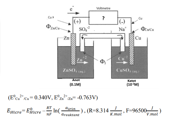 Voltmetre
Cuk
?
Cu
|(+)
|(-)
Oz»Cu-
SO,?
Na*
Zn
Cu
Zn
ZNSO, (aq.)
CUSO, (aq.)
Anot
Katot
(0.1M)
(10?M)
(E°cu"ccu= 0.340V,I
E°z.?
2+
"ZnIZn= -0.763V)
RT
In(
aürün
EHücre=EHocre -
-), (R=8.314
,F=96500,)
nF
areaktant
K.mol
V.mol
