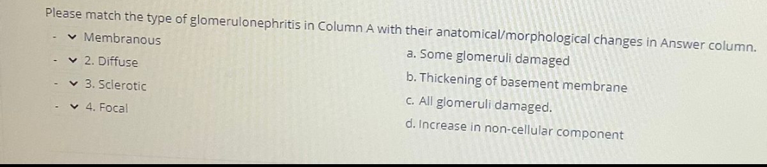 Please match the type of glomerulonephritis in Column A with their anatomical/morphological changes in Answer column.
✓ Membranous
a. Some glomeruli damaged
✓ 2. Diffuse
b. Thickening of basement membrane
✓ 3. Sclerotic
c. All glomeruli damaged.
4. Focal
d. Increase in non-cellular component