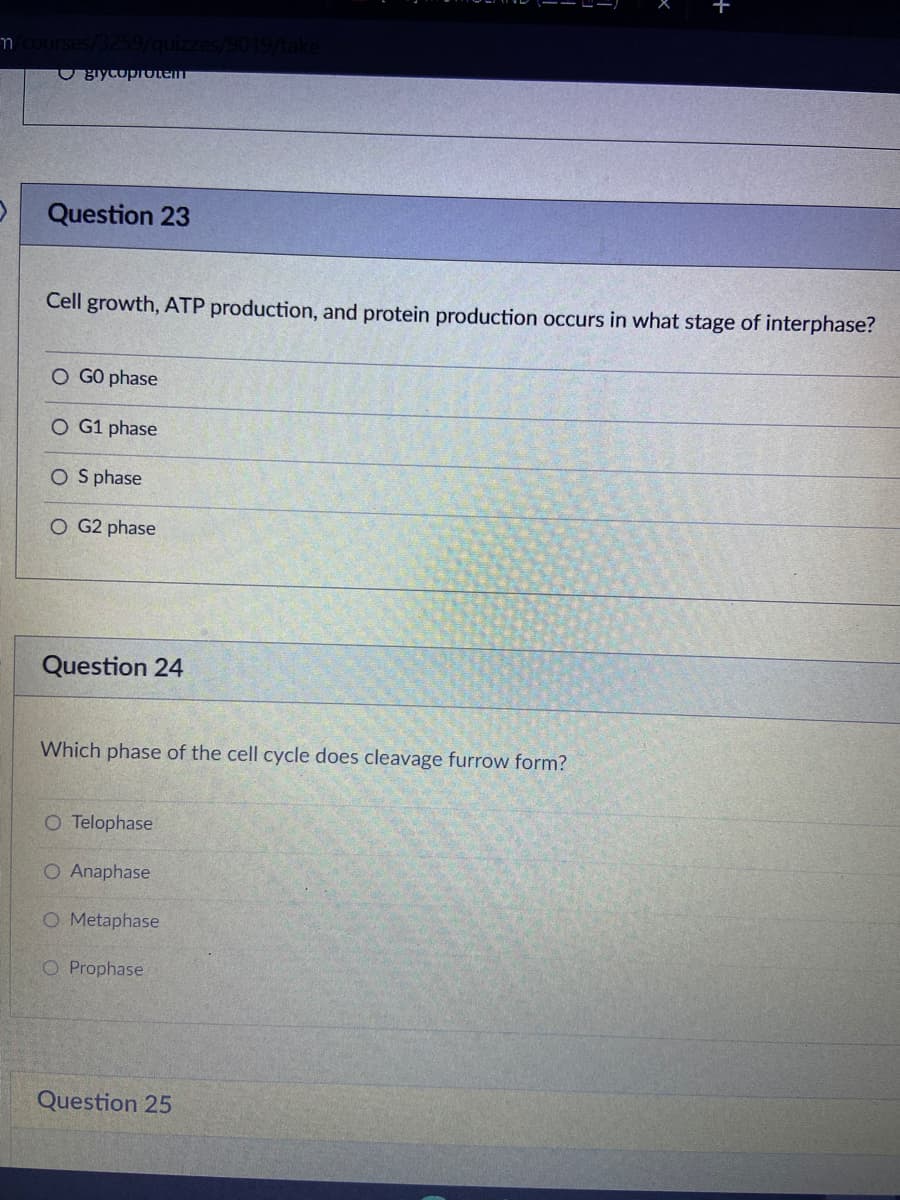 OgiycopOtem
Question 23
Cell growth, ATP production, and protein production occurs in what stage of interphase?
O GO phase
O G1 phase
O S phase
O G2 phase
Question 24
Which phase of the cell cycle does cleavage furrow form?
O Telophase
O Anaphase
O Metaphase
O Prophase
Question 25
