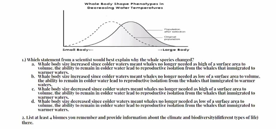 Whale Body Shape Phenotypes in
Decreasing water Temperature:
Population
after selection
Original
population
Small Body-
-Large Body
1.) Which statement from a scientist would best explain why the whale species changed?
a. Whale body size increased since colder waters meant whales no longer needed as high of a surface area to
volume, the ability to remain in colder water lead to reproductive isolation from the whales that immigrated to
warmer waters.
b. Whale body size increased since colder waters meant whales no longer needed as low of a surface area to volume.
the ability to remain in colder water lead to reproductive isolation from the whales that immigrated to warmer
waters.
c. Whale body size decreased since colder waters meant whales no longer needed as high of a surface area to
volume, the ability to remain in colder water lead to reproductive isolation from the whales that immigrated to
warmer waters.
d. Whale body size decreased since colder waters meant whales no longer needed as low of a surface area to
volume, the ability to remain in colder water lead to reproductive isolation from the whales that immigrated to
warmer waters.
2. List at least 4 biomes you remember and provide information about the climate and biodiversity(different types of life)
there.

