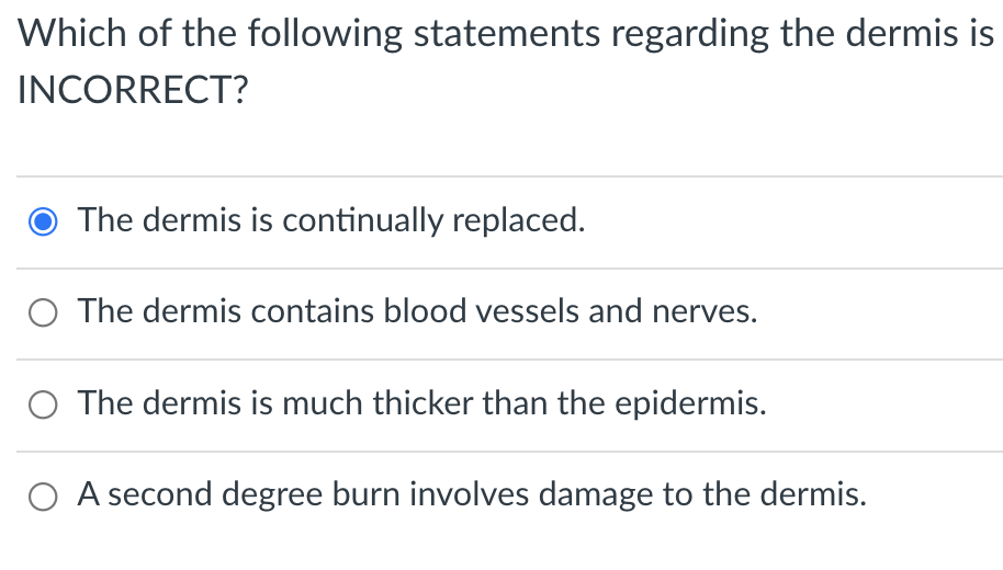 Which of the following statements regarding the dermis is
INCORRECT?
The dermis is continually replaced.
O The dermis contains blood vessels and nerves.
The dermis is much thicker than the epidermis.
O A second degree burn involves damage to the dermis.

