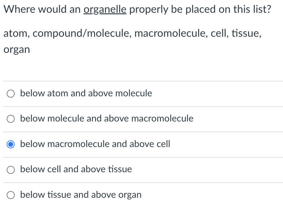 Where would an organelle properly be placed on this list?
atom, compound/molecule, macromolecule, cell, tissue,
organ
below atom and above molecule
O below molecule and above macromolecule
below macromolecule and above cell
below cell and above tissue
below tissue and above organ
