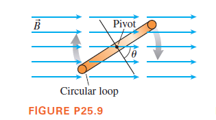 Pivot
Circular loop
FIGURE P25.9
