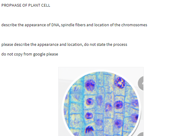 PROPHASE OF PLANT CELL
describe the appearance of DNA, spindle fibers and location of the chromosomes
please describe the appearance and location, do not state the process
do not copy from google please

