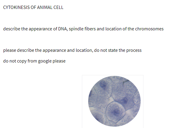 CYTOKINESIS OF ANIMAL CELL
describe the appearance of DNA, spindle fibers and location of the chromosomes
please describe the appearance and location, do not state the process
do not copy from google please
