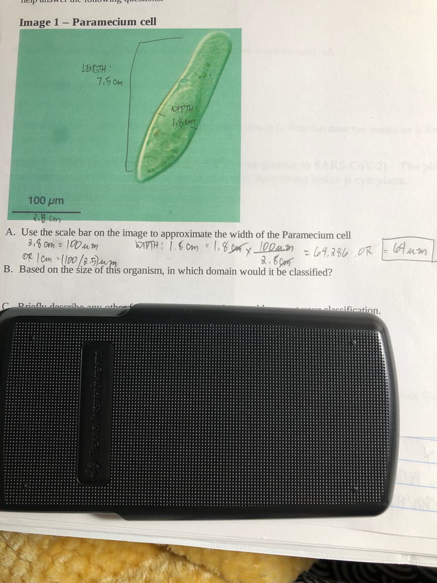 Image 1- Paramecium cell
LEXGTH:
7.5 cm
HLAKY
1.8om
to SARS-COV 2)
The pl
inside is cytoplasm.
100 µm
A. Use the scale bar on the image to approximate the width of the Paramecium cell
3,8 Gm = 100u m
OR I Cm =(100/2.5lum
B. Based on the size of this organism, in which domain would it be classified?
(Aum
WITH: 1.6 Cm 1,8cm y 00Mn - 64,246.0R
2.Ecm
alaccification.
CPriofl, dosaribo any othonf
