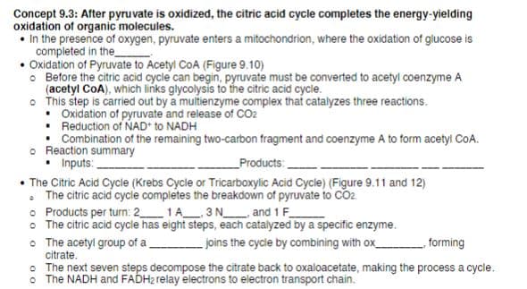 Concept 9.3: After pyruvate is oxidized, the citric acid cycle completes the energy-yielding
oxidation of organic molecules.
• In the presence of oxygen, pyruvate enters a mitochondrion, where the oxidation of glucose is
completed in the_
• Oxidation of Pyruvate to Acetyl CoA (Figure 9.10)
• Before the citric acid cycle can begin, pyruvate must be converted to acetyl coenzyme A
(acetyl CoA), which links glycolysis to the citric acid cycle.
• This step is carried out by a multienzyme complex that catalyzes three reactions.
• Oxidation of pyruvate and release of CO2
• Reduction of NAD* to NADH
Combination of the remaining two-carbon fragment and coenzyme A to form acetyl CoA.
• Reaction summary
• Inputs:
Products:
• The Citric Acid Cycle (Krebs Cycle or Tricarboxylic Acid Cycle) (Figure 9.11 and 12)
• The citric acid cycle completes the breakdown of pyruvate to CO2
• Products per turn: 21A_ 3 N__ and 1 F
o The citric acid cycle has eight steps, each catalyzed by a specific enzyme.
• The acetyl group of a.
_ joins the cycle by combining with ox
forming
citrate.
• The next seven steps decompose the citrate back to oxaloacetate, making the process a cycle.
• The NADH and FADH2 relay electrons to electron transport chain.
