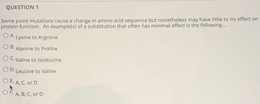 QUESTION 1
Some point mutations cause a change in amino acid sequence but nonetheless may have little to no effect on
protein function. An example(s) of a substitution that often has minimal effect is the following...
O A Lysine to Arginine
O B. Alanine to Proline
OC. valine to Isoleucine
O D. Leucine to Valine
O E. A, C, or D
OF. A, B, C, or D

