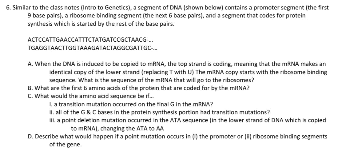 6. Similar to the class notes (Intro to Genetics), a segment of DNA (shown below) contains a promoter segment (the first
9 base pairs), a ribosome binding segment (the next 6 base pairs), and a segment that codes for protein
synthesis which is started by the rest of the base pairs.
ACTCCATTGAACCATTTCTATGATCCGCTAACG-...
TGAGGTAACTTGGTAAAGATACTAGGCGATTGC-...
A. When the DNA is induced to be copied to mRNA, the top strand is coding, meaning that the mRNA makes an
identical copy of the lower strand (replacing T with U) The mRNA copy starts with the ribosome binding
sequence. What is the sequence of the mRNA that will go to the ribosomes?
B. What are the first 6 amino acids of the protein that are coded for by the mRNA?
C. What would the amino acid sequence be if...
i. a transition mutation occurred on the final G in the mRNA?
ii. all of the G & C bases in the protein synthesis portion had transition mutations?
iii. a point deletion mutation occurred in the ATA sequence (in the lower strand of DNA which is copied
to mRNA), changing the ATA to AA
D. Describe what would happen if a point mutation occurs in (i) the promoter or (ii) ribosome binding segments
of the gene.