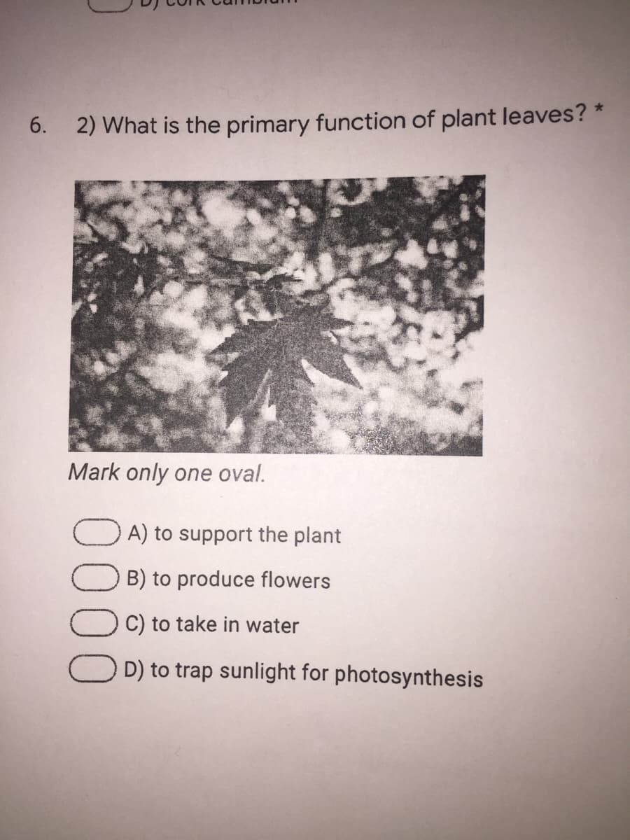 6. 2) What is the primary function of plant leaves? *
Mark only one oval.
A) to support the plant
B) to produce flowers
C) to take in water
D) to trap sunlight for photosynthesis
