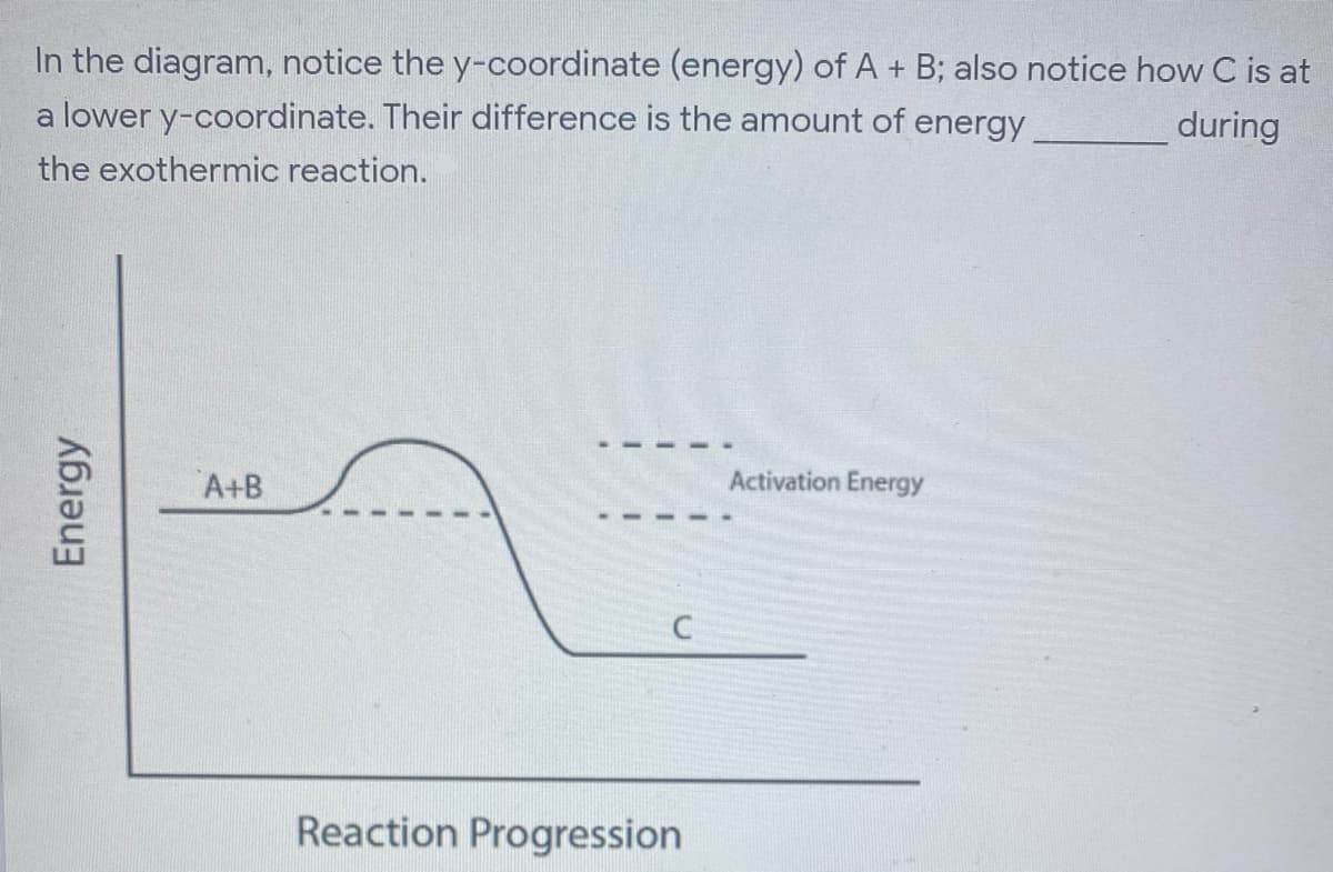 In the diagram, notice the y-coordinate (energy) of A + B; also notice how C is at
a lower y-coordinate. Their difference is the amount of energy
during
the exothermic reaction.
A+B
Activation Energy
Reaction Progression
Energy
