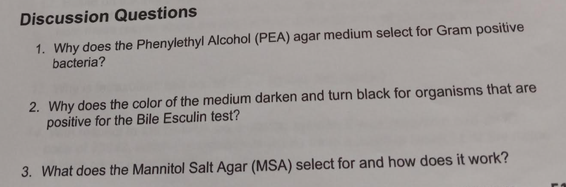 Discussion Questions
1. Why does the Phenylethyl Alcohol (PEA) agar medium select for Gram positive
bacteria?
2. Why does the color of the medium darken and turn black for organisms that are
positive for the Bile Esculin test?
3. What does the Mannitol Salt Agar (MSA) select for and how does it work?
