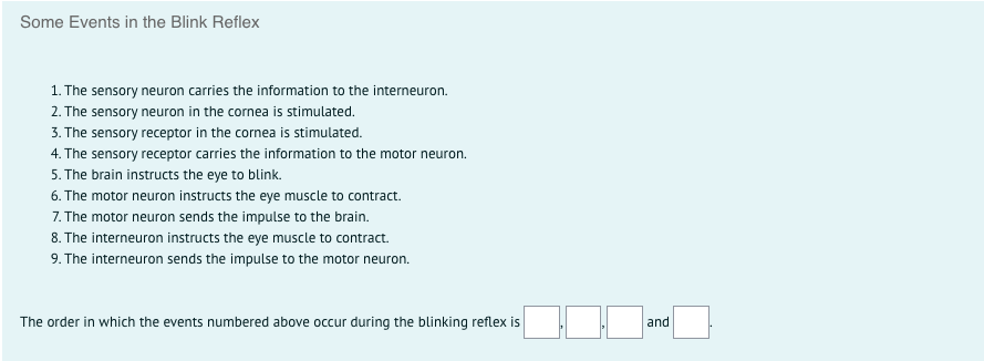 Some Events in the Blink Reflex
1. The sensory neuron carries the information to the interneuron.
2. The sensory neuron in the cornea is stimulated.
3. The sensory receptor in the cornea is stimulated.
4. The sensory receptor carries the information to the motor neuron.
5. The brain instructs the eye to blink.
6. The motor neuron instructs the eye muscle to contract.
7. The motor neuron sends the impulse to the brain.
8. The interneuron instructs the eye muscle to contract.
9. The interneuron sends the impulse to the motor neuron.
The order in which the events numbered above occur during the blinking reflex is
and
