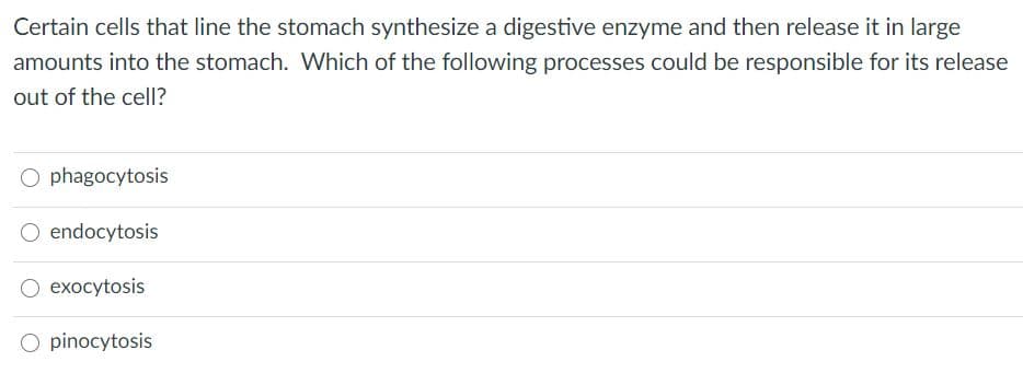 Certain cells that line the stomach synthesize a digestive enzyme and then release it in large
amounts into the stomach. Which of the following processes could be responsible for its release
out of the cell?
O phagocytosis
O endocytosis
O exocytosis
O pinocytosis
