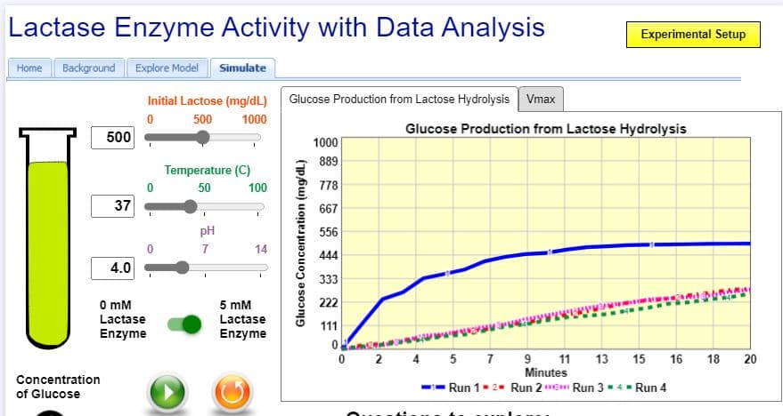 Lactase Enzyme Activity with Data Analysis
Experimental Setup
Home Background Explore Model Simulate
Initial Lactose (mg/dL) Glucose Production from Lactose Hydrolysis Vmax
500
1000
500
Glucose Production from Lactose Hydrolysis
1000|
889
Temperature (C)
50
100
778
37
667
pH
556
7
14
444
4.0
333
O mM
5 mM
222
Lactase
Lactase
111
Enzyme
Enzyme
0 2 4 5 7
9 11 13
Minutes
15
16
18
Concentration
- Run 1-2- Run 2 Run 3 - 4- Run 4
of Glucose
Glucose Concentration (mg/dL)
20
