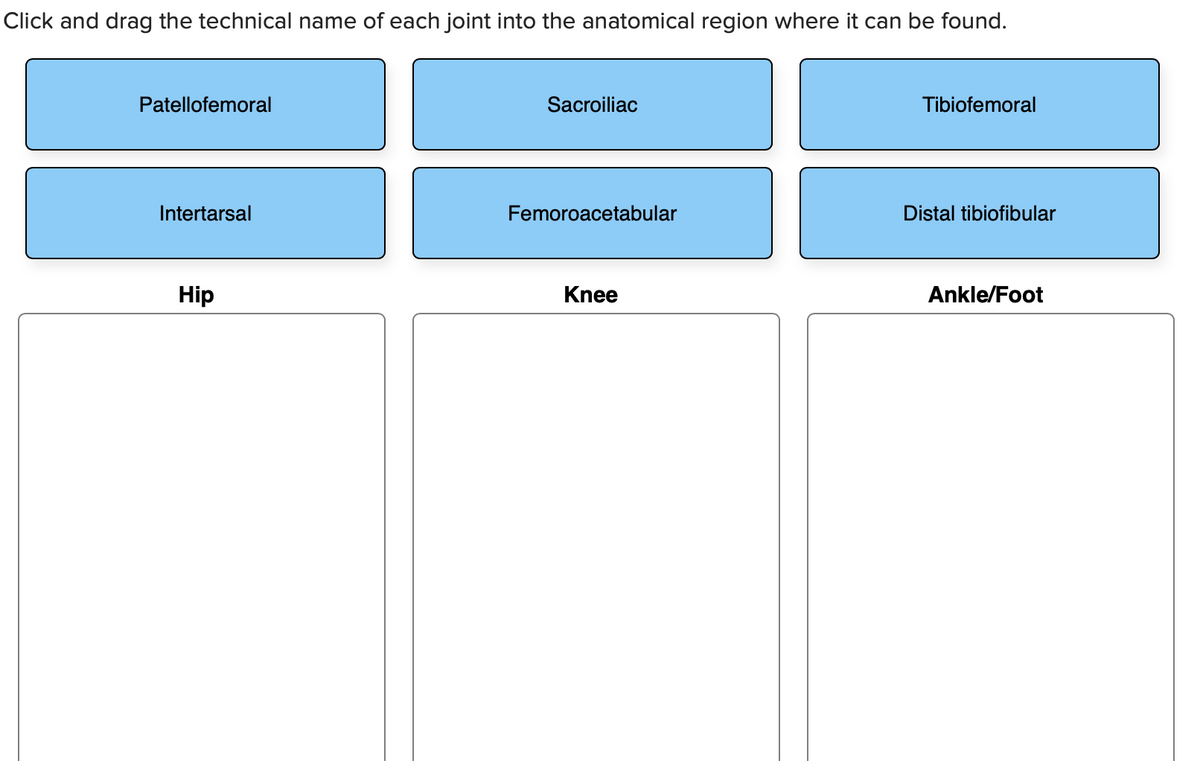 Click and drag the technical name of each joint into the anatomical region where it can be found.
Patellofemoral
Sacroiliac
Tibiofemoral
Intertarsal
Femoroacetabular
Distal tibiofibular
Hip
Knee
Ankle/Foot
