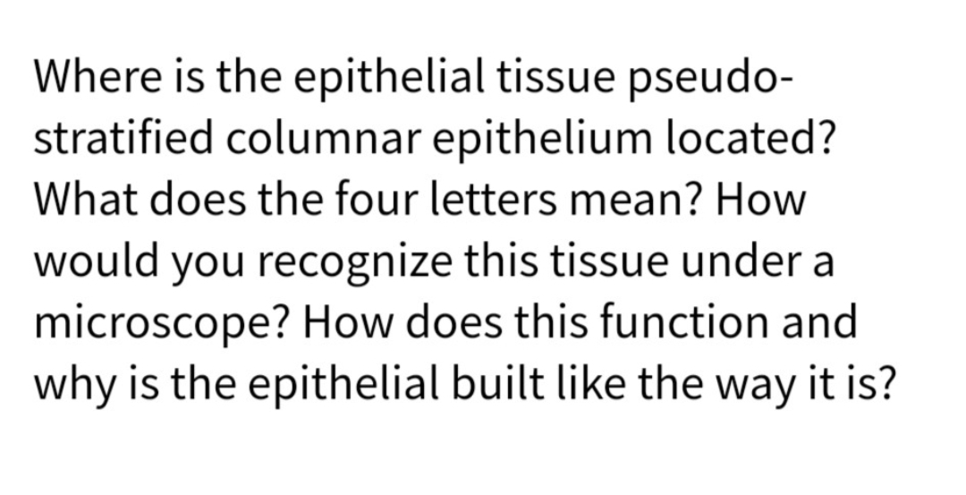 Where is the epithelial tissue pseudo-
stratified columnar epithelium located?
What does the four letters mean? How
would you recognize this tissue under a
microscope? How does this function and
why is the epithelial built like the way it is?