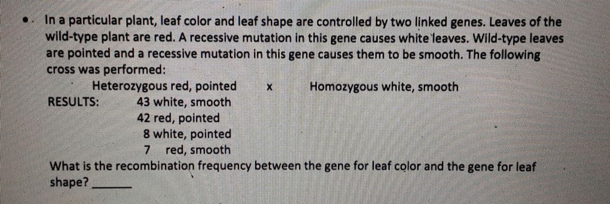 In a particular plant, leaf color and leaf shape are controlled by two linked genes. Leaves of the
wild-type plant are red. A recessive mutation in this gene causes white leaves. Wild-type leaves
are pointed and a recessive mutation in this gene causes them to be smooth. The following
cross was performed:
Heterozygous red, pointed
43 white, smooth
42 red, pointed
8 white, pointed
7 red, smooth
Homozygous white, smooth
RESULTS:
What is the recombination frequency between the gene for leaf color and the gene for leaf
shape?
