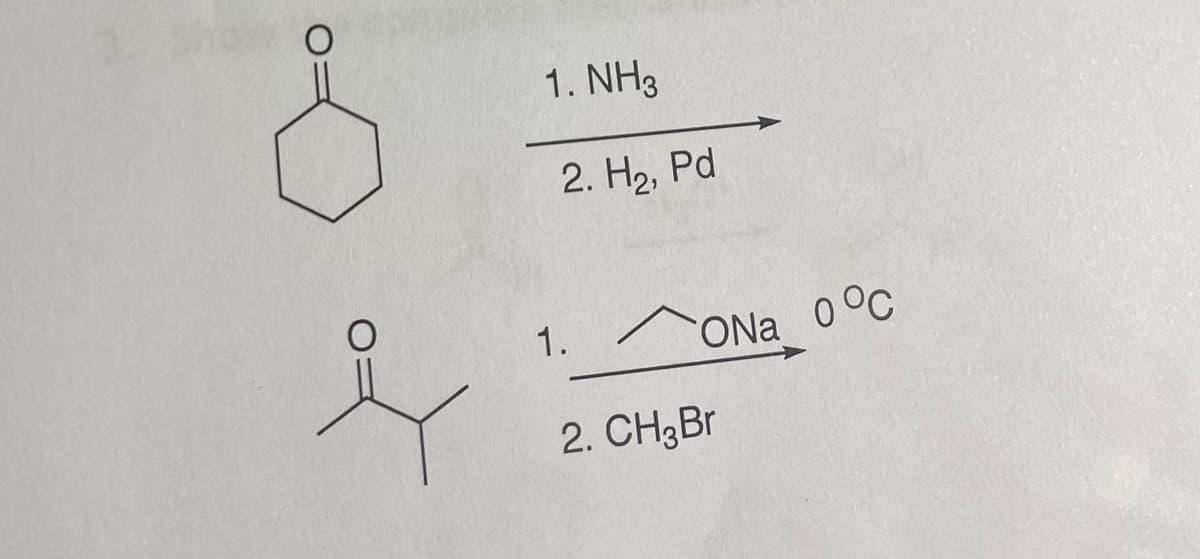 1. NH3
2. H₂, Pd
ONa 0°C
1.
2. CH3 Br