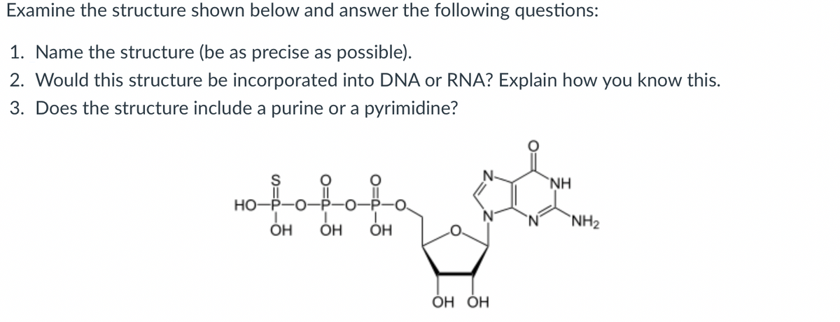 Examine the structure shown below and answer the following questions:
1. Name the structure (be as precise as possible).
2. Would this structure be incorporated into DNA or RNA? Explain how you know this.
3. Does the structure include a purine or a pyrimidine?
S
HO-P
OH
OH
T
OH
عن
OH OH
NH
NH₂