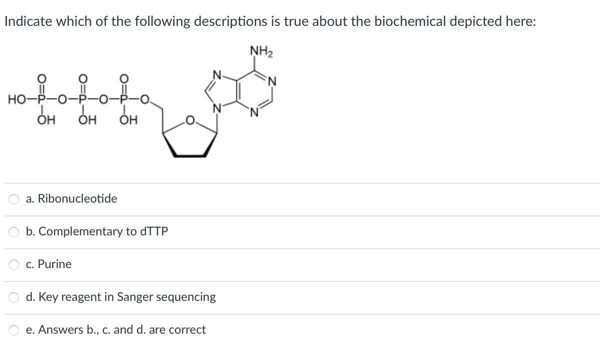 Indicate which of the following descriptions is true about the biochemical depicted here:
NH₂
+41 5
HO- он он
OH OH OH
a. Ribonucleotide
b. Complementary to dTTP
c. Purine
d. Key reagent in Sanger sequencing
e. Answers b., c. and d. are correct